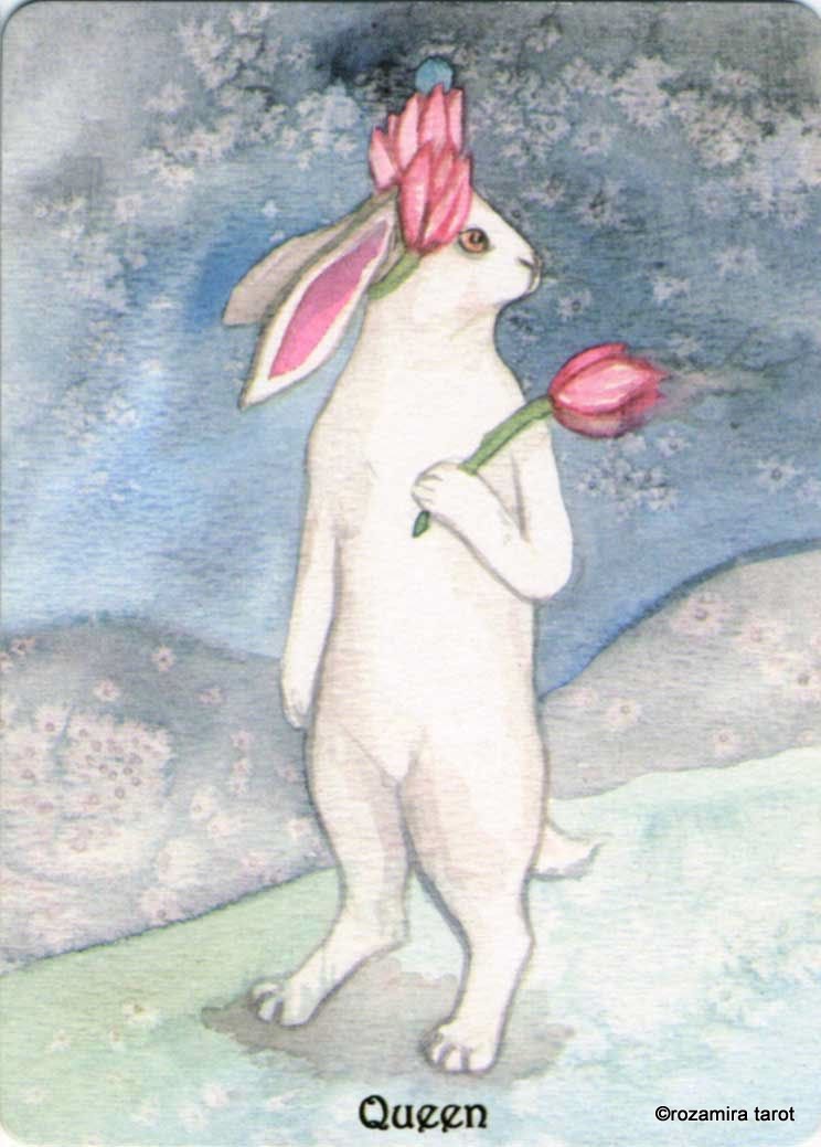 Rabbit Tarot